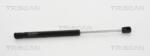 TRISCAN Amortizor capota TRISCAN 8710 17104 (8710 17104) - fixbox