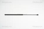 TRISCAN Amortizor capota TRISCAN 8710 12105 (8710 12105) - fixbox