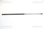 TRISCAN Amortizor capota TRISCAN 8710 29112 (8710 29112) - fixbox