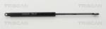 TRISCAN Amortizor capota TRISCAN 8710 11103 (8710 11103) - fixbox