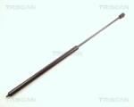 TRISCAN Amortizor capota TRISCAN 8710 23104 (8710 23104) - fixbox