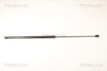 TRISCAN Amortizor capota TRISCAN 8710 24106 (8710 24106) - fixbox