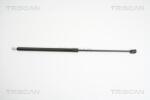 TRISCAN Amortizor portbagaj TRISCAN 8710 24231 - fixbox