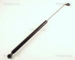 TRISCAN Amortizor portbagaj TRISCAN 8710 40205 - fixbox