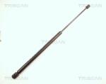 TRISCAN Amortizor capota TRISCAN 8710 29111 (8710 29111) - fixbox