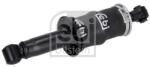 Febi Bilstein Amortizor, suspensie cabina FEBI BILSTEIN 106672 (106672) - fixbox
