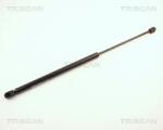 TRISCAN Amortizor portbagaj TRISCAN 8710 2411 - fixbox