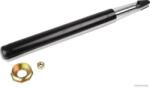 Herth+buss Jakoparts Amortizor HERTH+BUSS JAKOPARTS J4300901 (J4300901) - fixbox