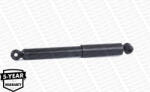 MONROE Amortizor MONROE G21658 (G21658) - fixbox