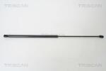 TRISCAN Amortizor capota TRISCAN 8710 29121 (8710 29121) - fixbox