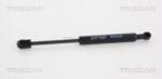 TRISCAN Amortizor capota TRISCAN 8710 25104 (8710 25104) - fixbox