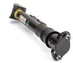 Arnott Amortizor Arnott SK-3029 (SK-3029)