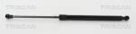 TRISCAN Amortizor capota TRISCAN 8710 25109 (8710 25109) - fixbox