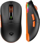 Meetion GW24 Black (GW24BLACK) Mouse