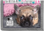 Derform Portofel Derform Cleo&Frank - Catelus cu curea velcro (67350)