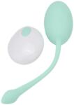 Tabooboo Baga-ma Inapoi in Pat Ou Vibrator din Silicon cu Telecomanda 10 Functii de Vibratie
