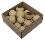  Termés dobozban natúr 20db/csomag (436260)