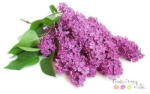  Orgona illatolaj 50ml