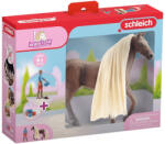Schleich Horse Club: Frumusețile Sofiei - Set de început cu Leo și calul Rocky cu coamă pieptănabilă (42586) (SLH42586) Figurina