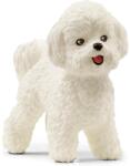 Schleich Schleich: Figurină câine Bichon Frise (13963) (SLH13963) Figurina