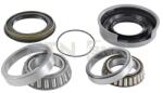 SNR Set rulment roata SNR R141.60 (R141.60) - fixbox