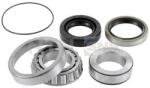 SNR Set rulment roata SNR R173.20 (R173.20) - fixbox