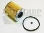 MOTAQUIP Filtru combustibil MOTAQUIP VFF504 (VFF504) - fixbox
