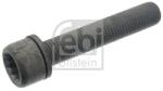 Febi Bilstein Surub, etrier FEBI BILSTEIN 48817 (48817) - fixbox