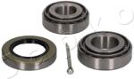 JAPKO Set rulment roata JAPKO 420060 (420060) - fixbox