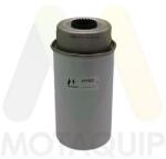 MOTAQUIP Filtru combustibil MOTAQUIP VFF523 (VFF523) - fixbox