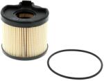 CHAMPION Filtru combustibil CHAMPION CFF100251 (CFF100251) - fixbox