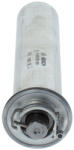 Bosch Filtru combustibil injectie benzina BOSCH 0 450 905 960 (0 450 905 960)