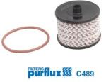 PURFLUX Filtru combustibil PURFLUX C489 (C489) - fixbox