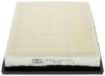 CHAMPION Filtru aer CHAMPION CAF100640P (CAF100640P) - fixbox