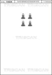 TRISCAN Set surub, disc frana TRISCAN 8105 116004 (8105 116004)
