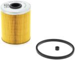 CHAMPION Filtru combustibil CHAMPION CFF100255 (CFF100255) - fixbox