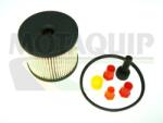 MOTAQUIP Filtru combustibil MOTAQUIP VFF422 (VFF422) - fixbox