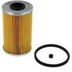 CHAMPION Filtru combustibil CHAMPION CFF100415 (CFF100415) - fixbox