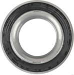 Herth+buss Jakoparts Set rulment roata HERTH+BUSS JAKOPARTS J4700318 (J4700318) - fixbox