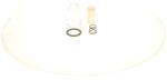 Bosch Filtru combustibil BOSCH 2 447 010 017 (2 447 010 017) - fixbox