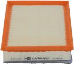 CHAMPION Filtru aer CHAMPION CAF101063P (CAF101063P) - fixbox