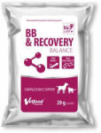  BB Recovery Balance por 20g