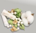  Kincsgyűjtő terméscsomag - menta