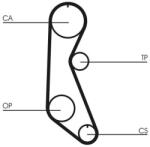 Continental Ctam Curea de distributie CONTINENTAL CTAM CT816 - fixbox