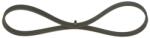 Bosch Curea transmisie cu caneluri BOSCH 1 987 947 803 - fixbox
