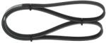 Bosch Curea transmisie cu caneluri BOSCH 1 987 946 061 - fixbox