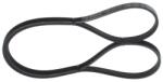 Bosch Curea transmisie cu caneluri BOSCH 1 987 945 721 - fixbox