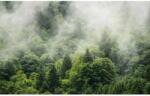 Komar vlies fotótapéta Forest Land 400 cm x 250 cm - obi - 86 490 Ft
