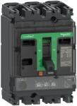 Schneider Electric Intreruptor tip USOL ComPacT NSX160F, 36 kA la 415 VAC, unitate de declansare MicroLogic 2.2 100A, 3 poli 3d, Schneider, C16F32D100 (C16F32D100)