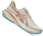 ASICS GT-2000 13 TR Női futócipő (vegyes talajra) (1111004609)